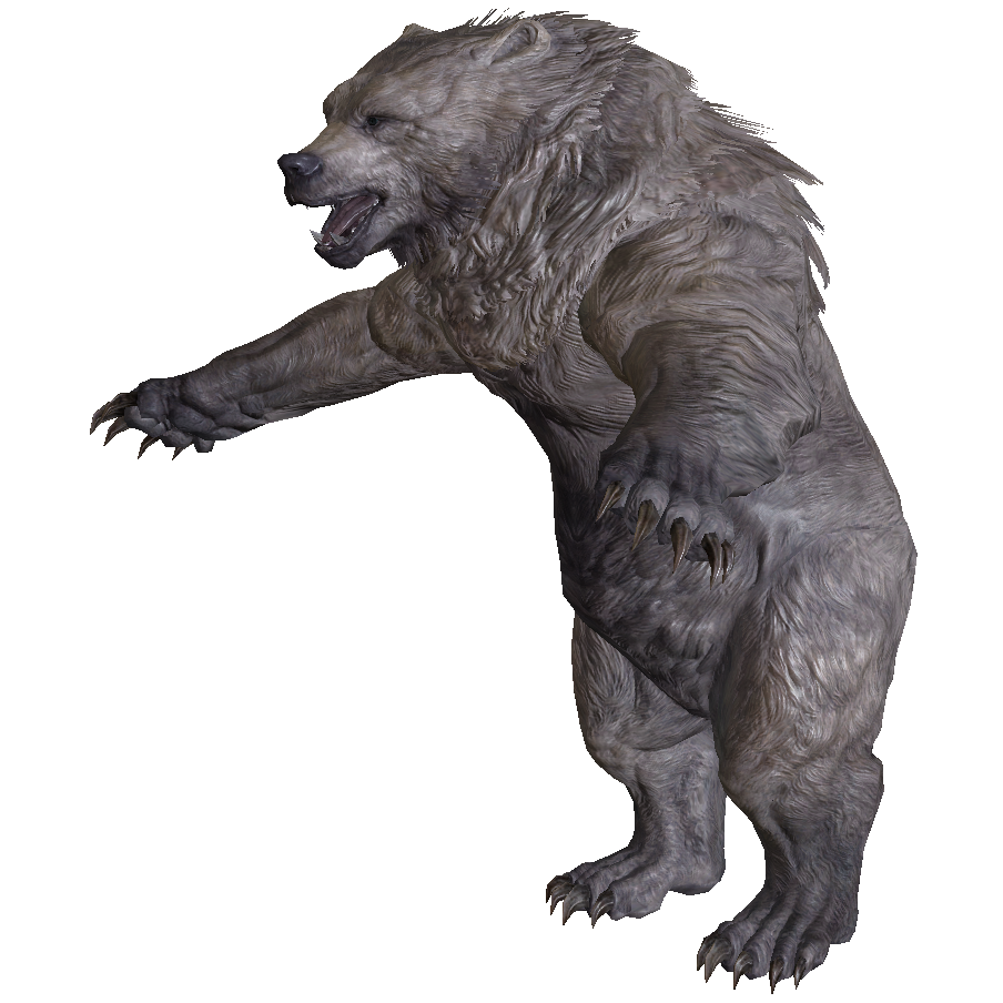 Snow Bear Skyrim Wiki