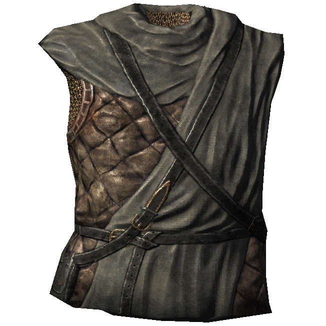 Pale Guard's Armor Skyrim Wiki