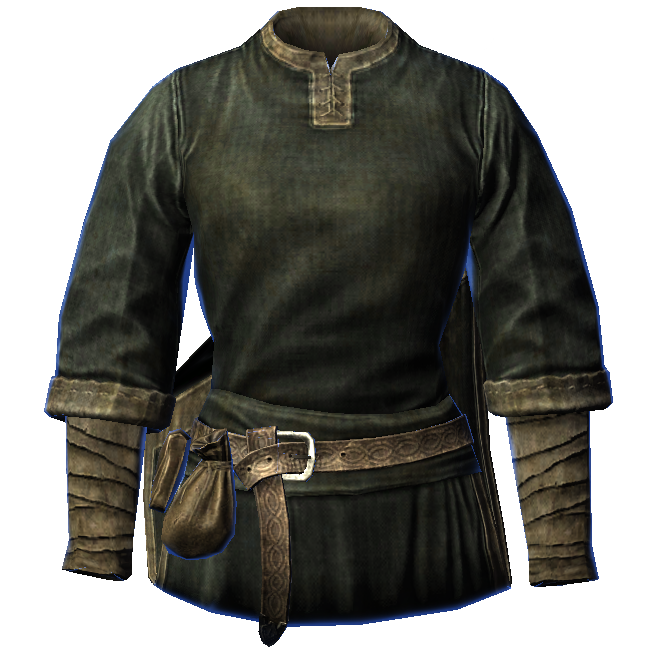 Expert Robes Skyrim Wiki