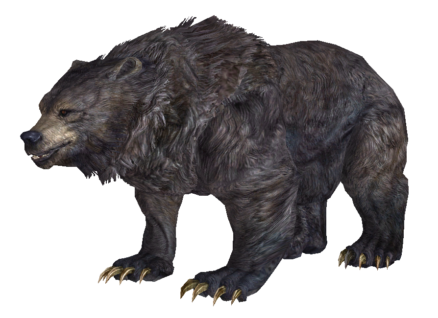 Bear Skyrim Wiki