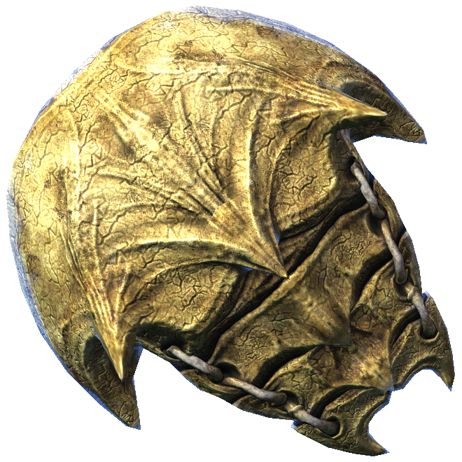 Bonemold Shield of Resist Magic Skyrim Wiki