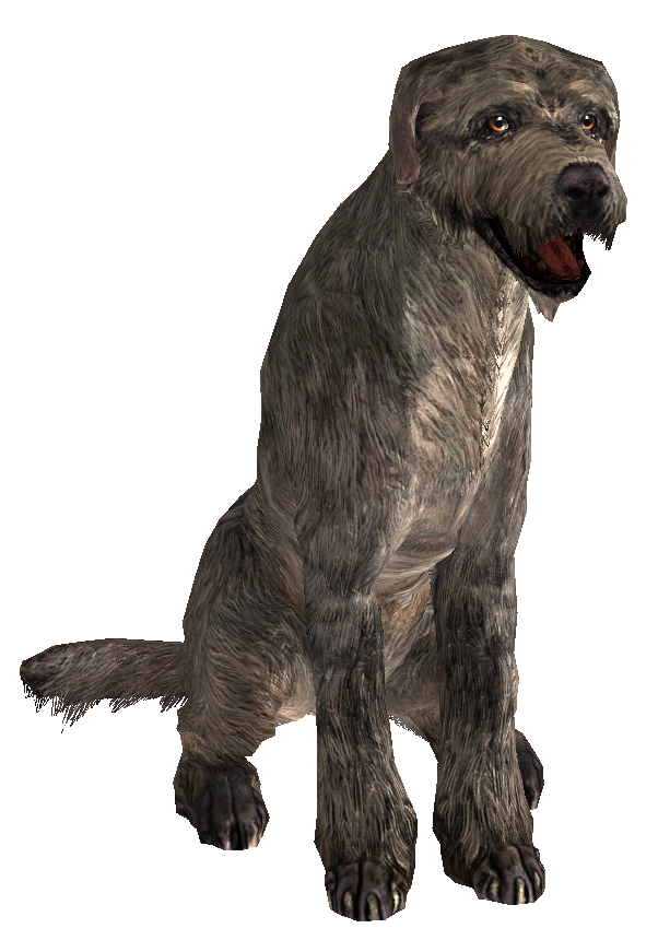 Skyrim barbas Skyrim barbas
