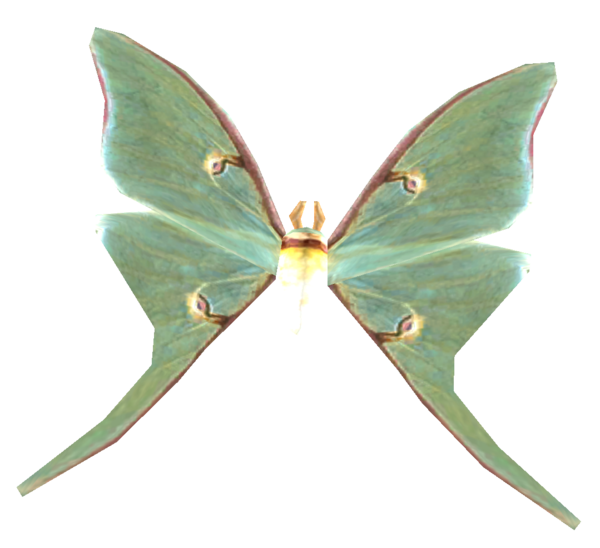 Luna Moth Skyrim Wiki