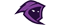 Team RivaLlogo std.png