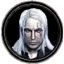 The Witcher The Witcher