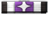 Charge Counter Pole icon.png