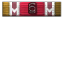 Criminal icon.png