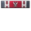 Bug Basher icon.png