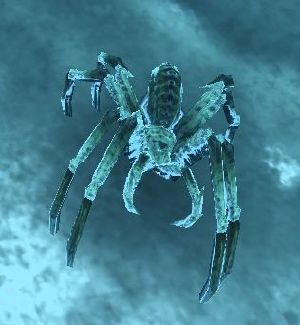 Ice Spiders Ice Spiders