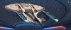 Ship Variant - FED - Sojourner Operations Star Cruiser aft (T6).jpg