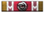 Radiant icon.png