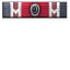 Snake Charmer icon.png