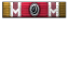 Artillery Annihilator icon.png
