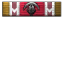 Abducted icon.png