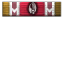 Holding the Line icon.png