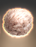 Polygeminus grex stahl icon.png