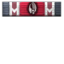 Futility icon.png