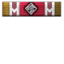 Arena Pleb icon.png