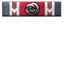 Crusader icon.png