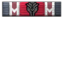 Reptilian Raider icon.png