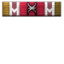 Undiplomatic icon.png