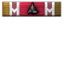 Soldier of the Empire icon.png