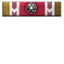 Member of the Pack icon.png