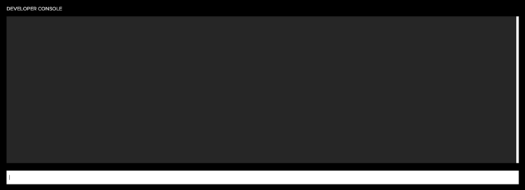 Developer Console.png