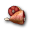 Meat.PNG