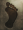 SS footprintsmall.png