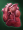 SS heartsmall.png
