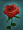 SS rosesmall.png