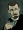 SS genialmagiciansmall.png