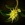 Golden Nettle Stems.jpg