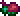 Buggy.png