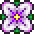 花冠 花冠