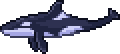 Orca.png