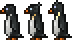 Penguin black 2.png Penguin black 2.png