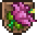 Plantera Trophy
