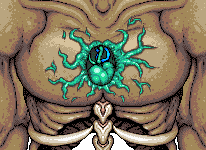 Moon Lord's Core.gif