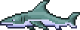 Shark.png