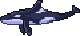 Orca.png
