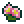 분홍색 백년초.png