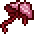 피의 부레관해파리.png
