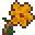 화밀.png