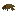 PitbullClubbedico.png