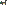 Catico.png