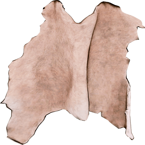 Raccoon Skin Official The Forest Wiki