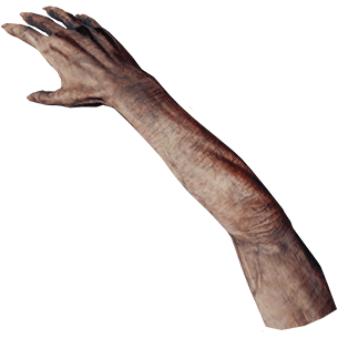 Arm - Official The Forest Wiki