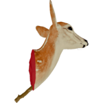 HeadTrophyFarket.png
